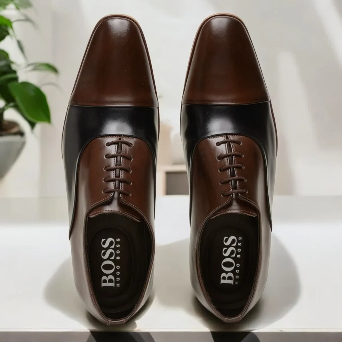 Sapato Social HB Collins Moss Preto - Image 6