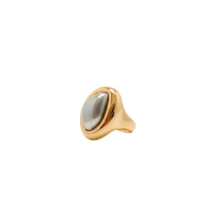 Anel Gota Liso Meio Fosco Banho Ouro 18K